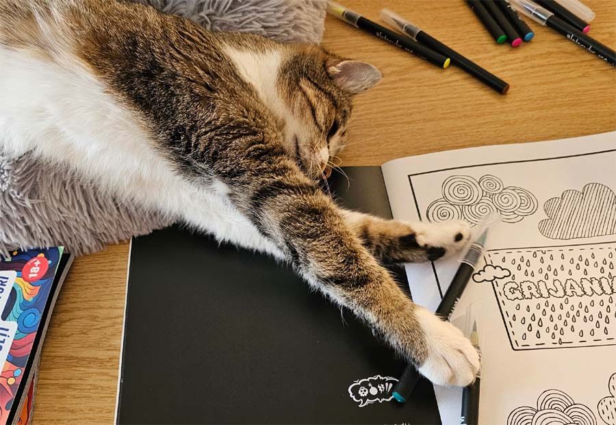 Cat_02 copy